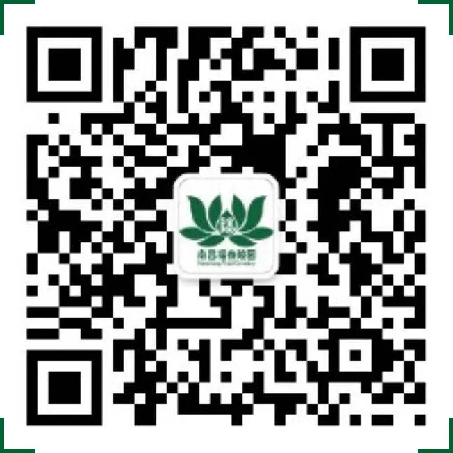 1606269054125536.png image.png