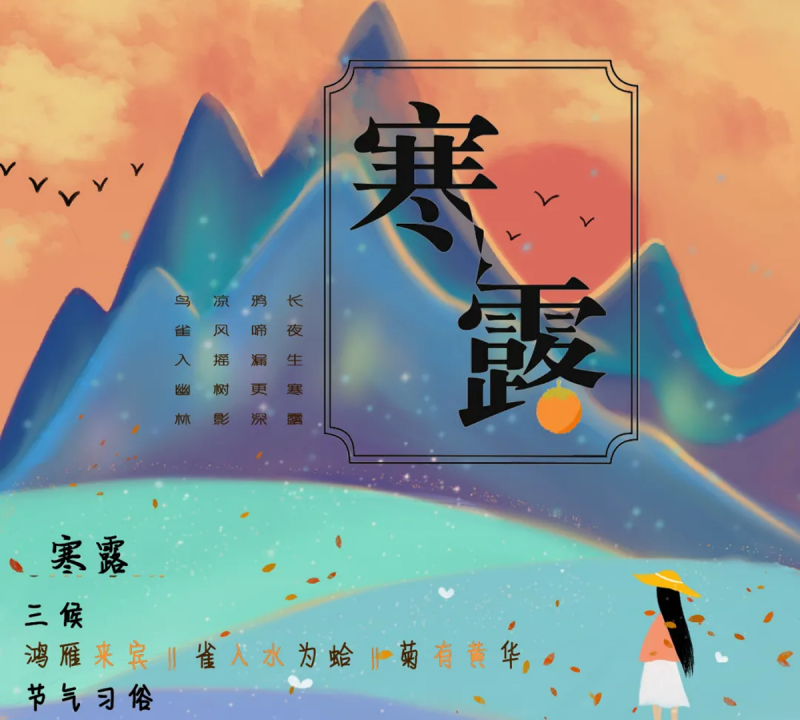 今日 寒露